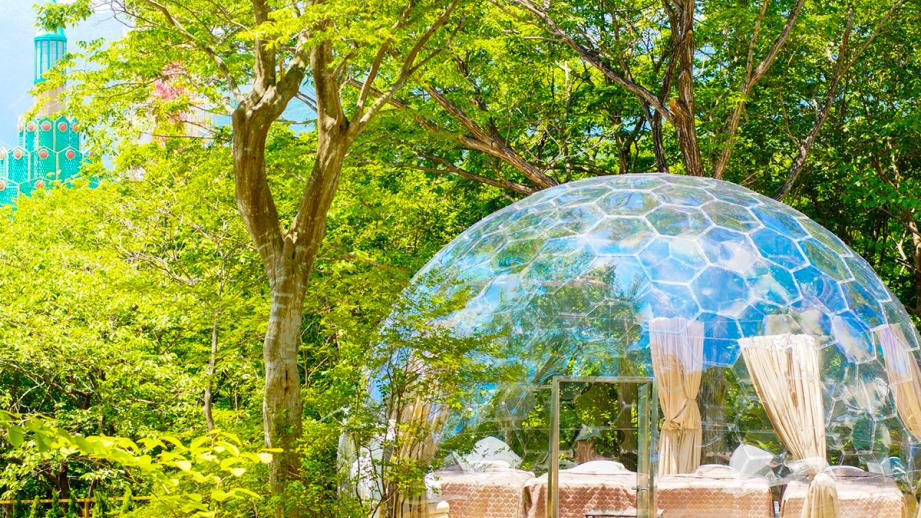 那須 コテージ 自然