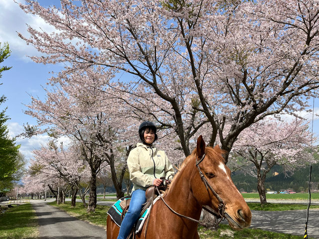 わくわくファーム前森高原 乗馬