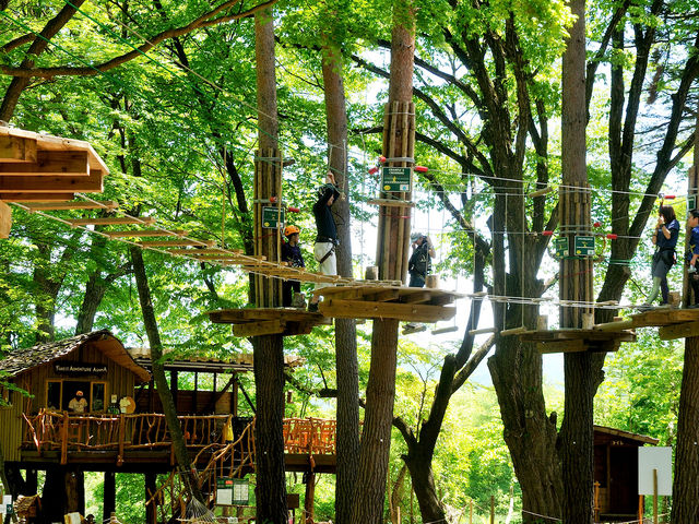 北軽井沢スウィートグラス