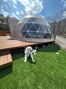 お宿 はなぶさ グランピング