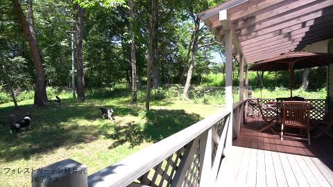 フォレストガーデン軽井沢 JKテラス ドッグラン
