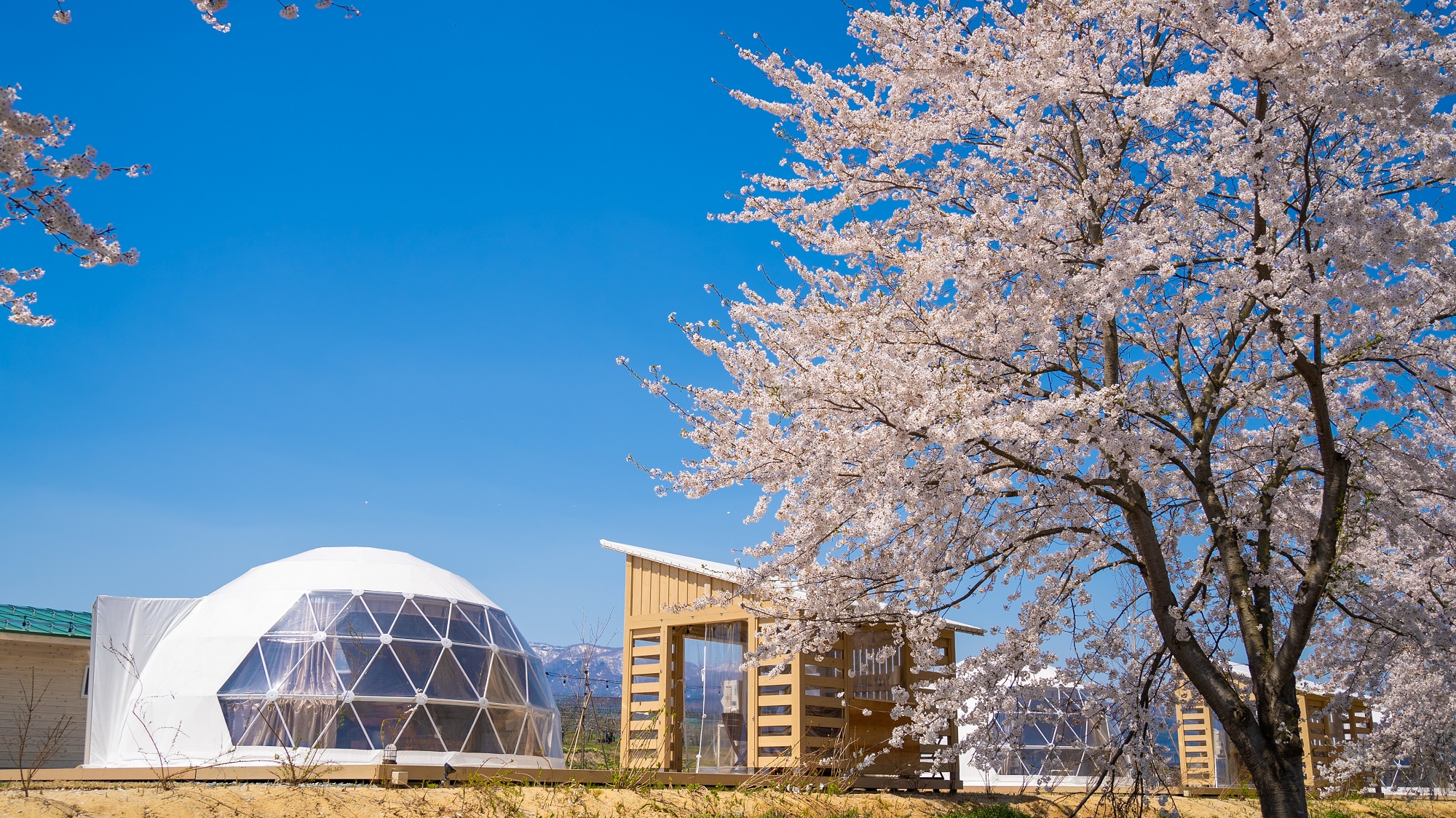 yamagata glam グランピング