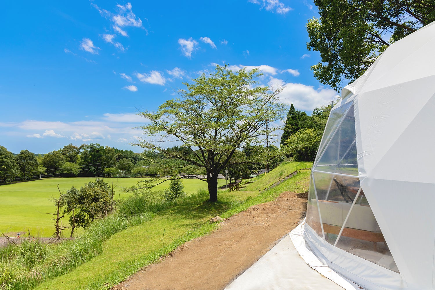 ほけだけグランピング 和泉の毬花 法華嶽公園