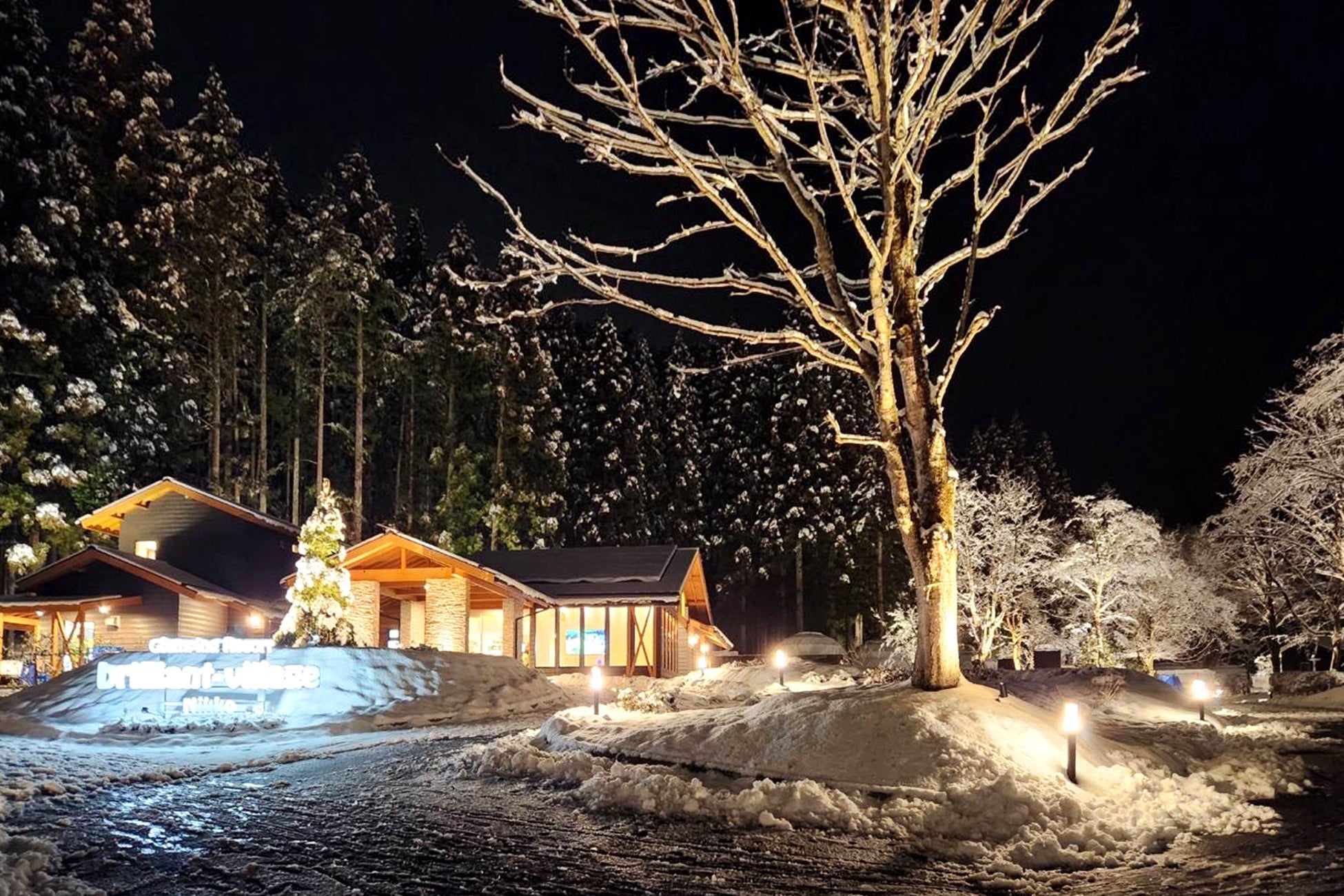 グランピング 冬 雪景色