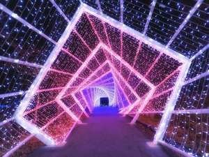 GRAX PREMIUM CAMP RESORT 京都 るり渓 シナスタジアヒルズ