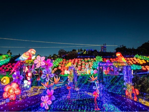 伊豆グランヴィレッジ グランピング イルミネーション